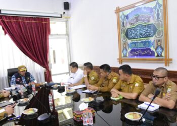 Jasa Medis dan Gaji Belum Dibayar, Nakes Paruh Waktu RSU Datu Beru Mengadu ke Wabup Muchsin Hasan