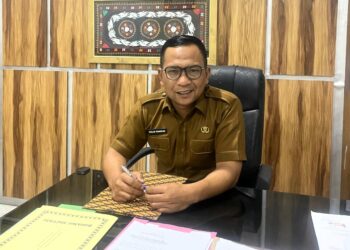 Pelantikan 3.327 P3K Paruh Waktu di Jajaran Pemkab Aceh Tengah Digelar 5 Pebruari 2026