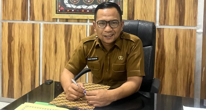 Pelantikan 3.327 P3K Paruh Waktu di Jajaran Pemkab Aceh Tengah Digelar 5 Pebruari 2026