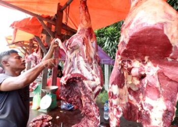 Korban Bencana di Aceh Tengah Usulkan Bantuan Daging Megang Diganti dengan Uang Tunai
