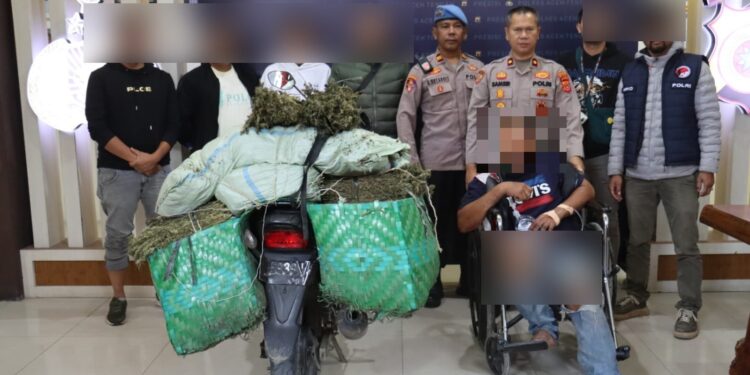 Satresnarkoba Polres Aceh Tengah Kembali Gagalkan Peredaran 45 Kilogram Ganja