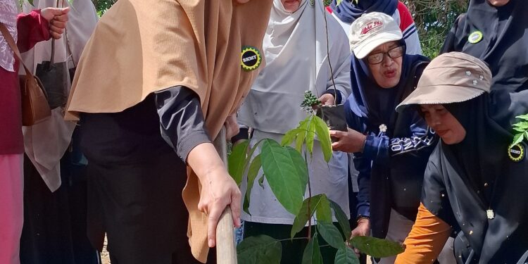 PD BKMT Aceh Tengah Tanam 1000 Pohon Lewat Program “Gerakan Hijau “